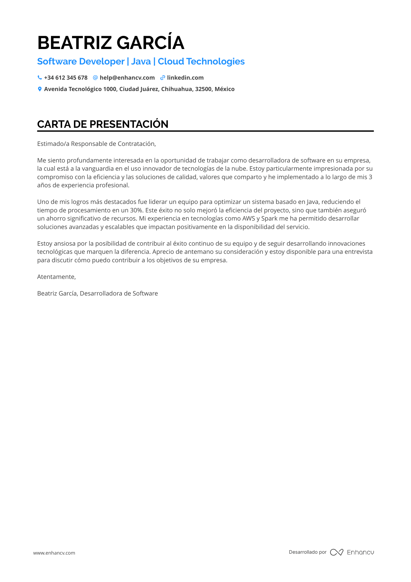 Programador de Software