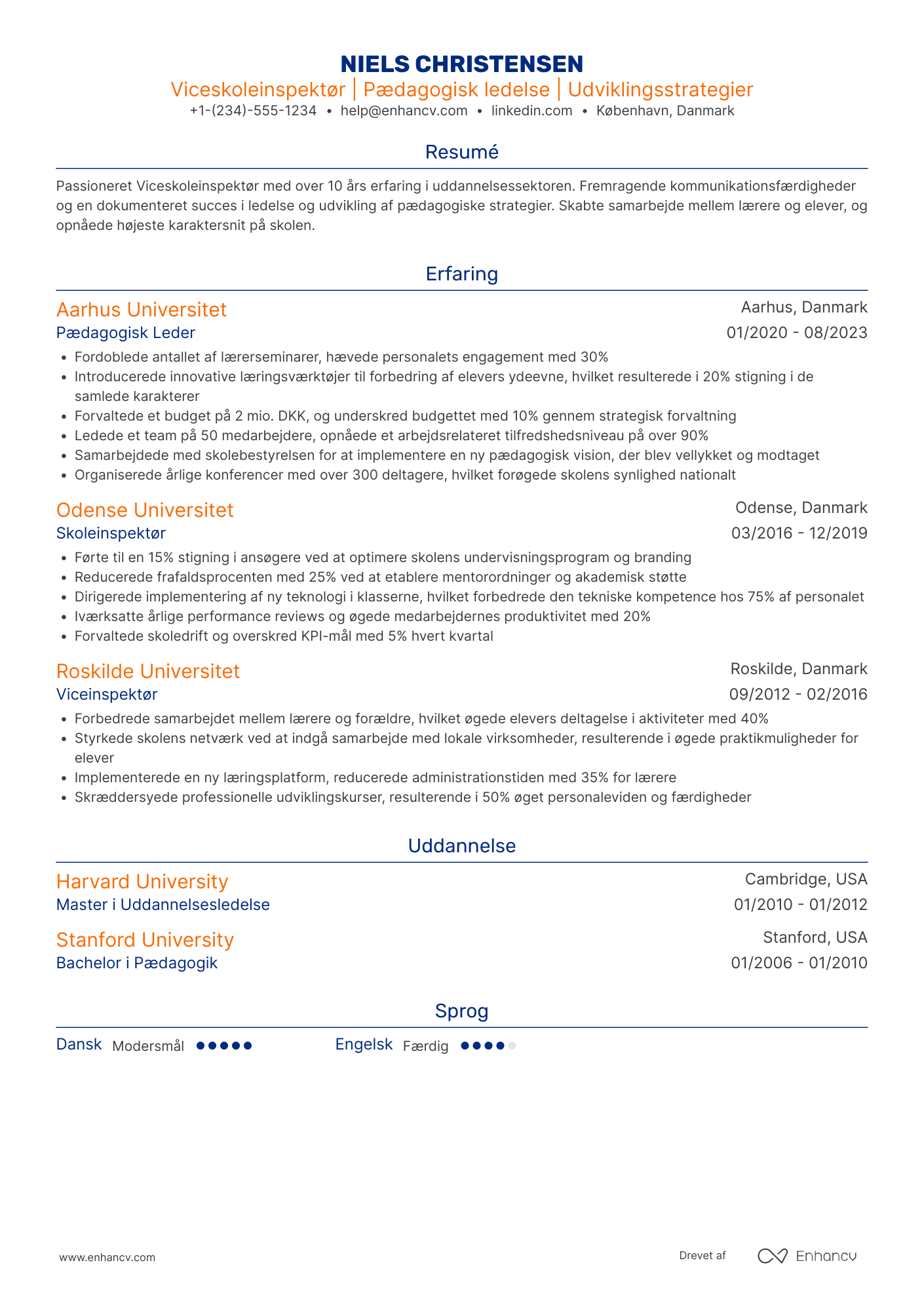 CV til Viceskoleinspektør