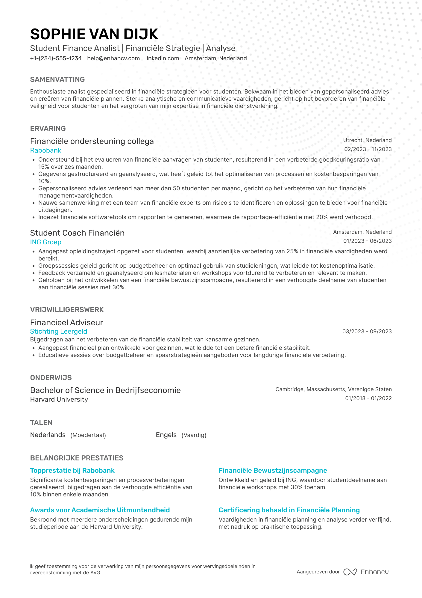 CV voor Student Finance Analist