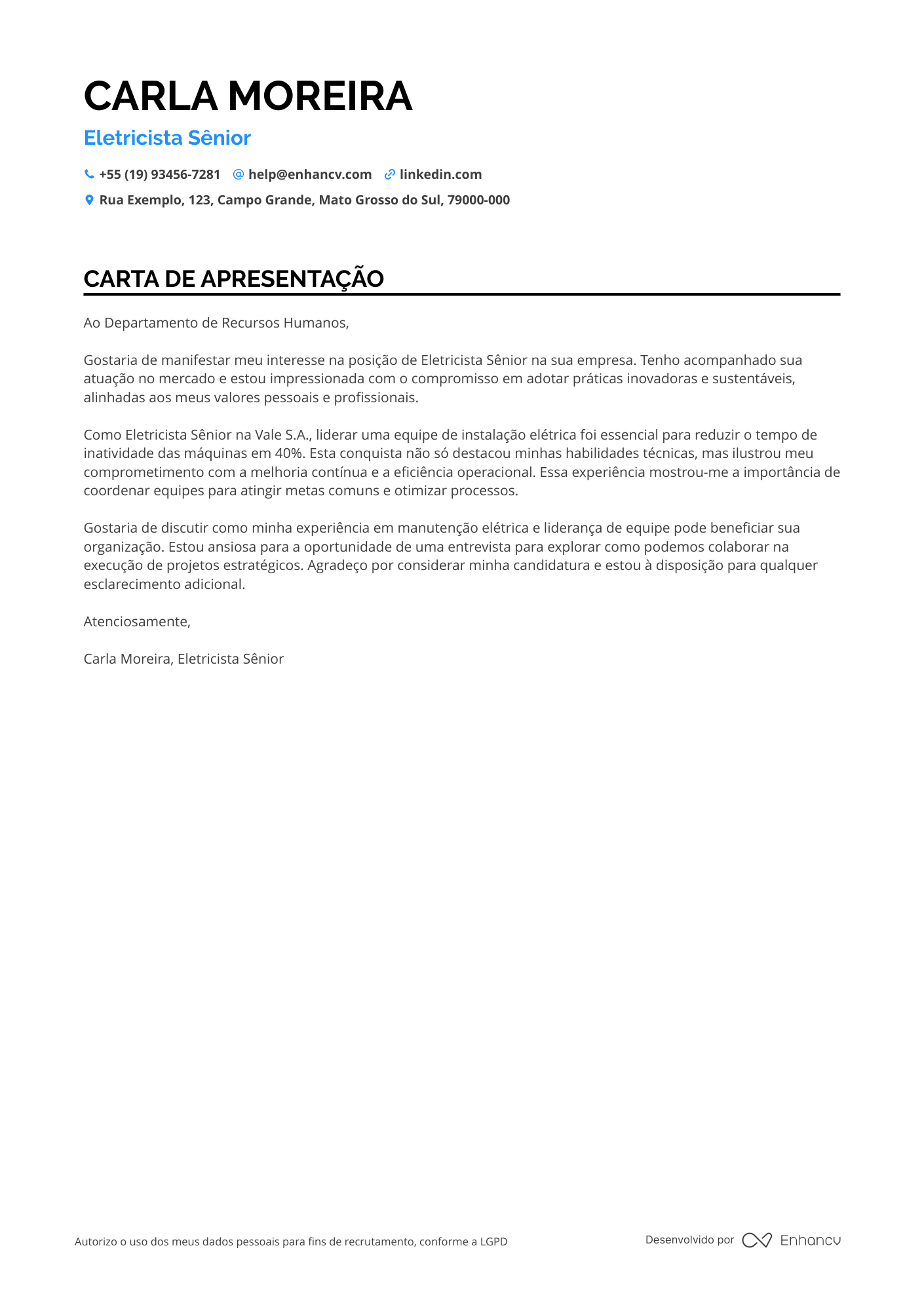 Eletricista de Linhas de Transmissão