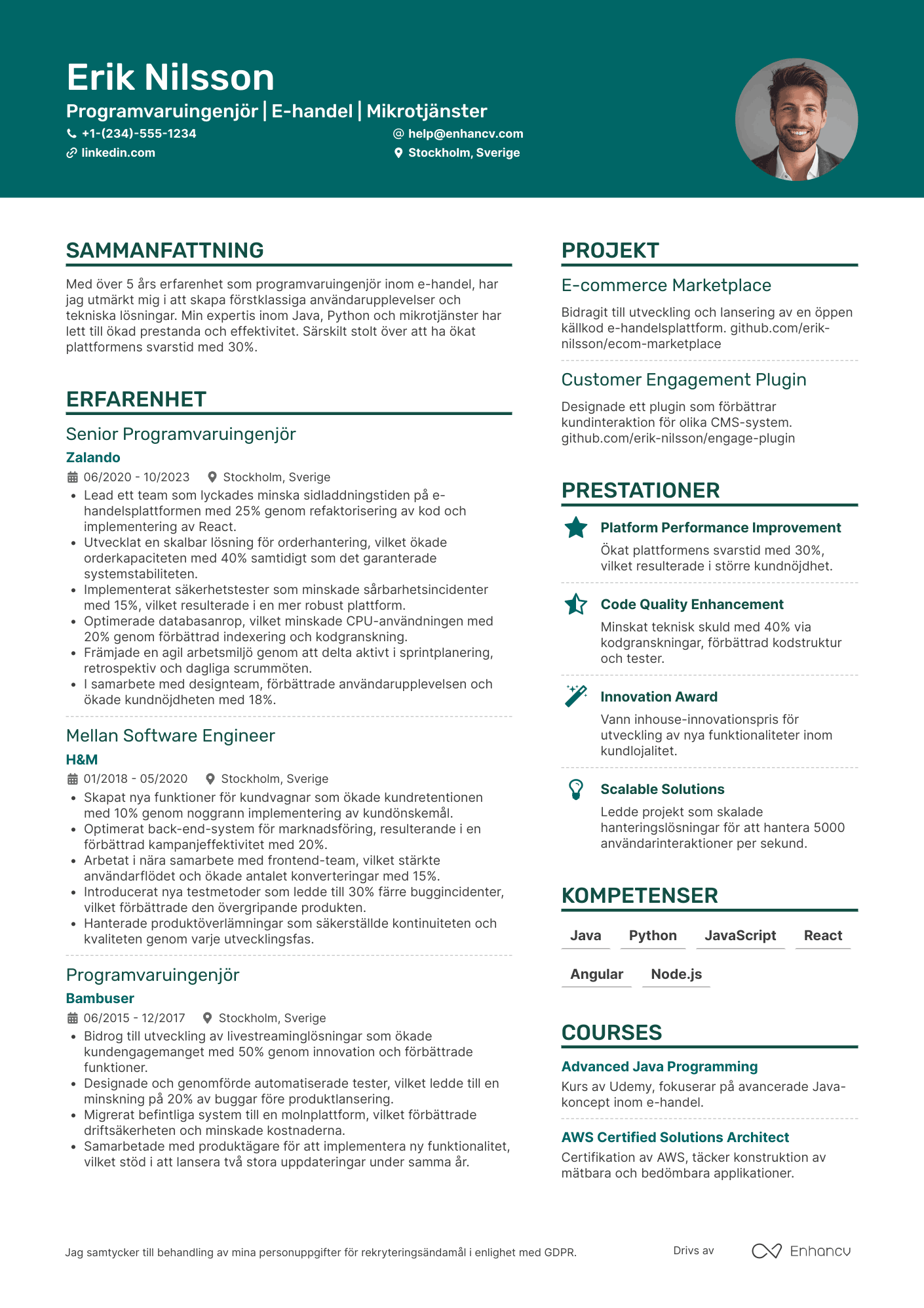 CV för Programvaruingenjör inom e handel