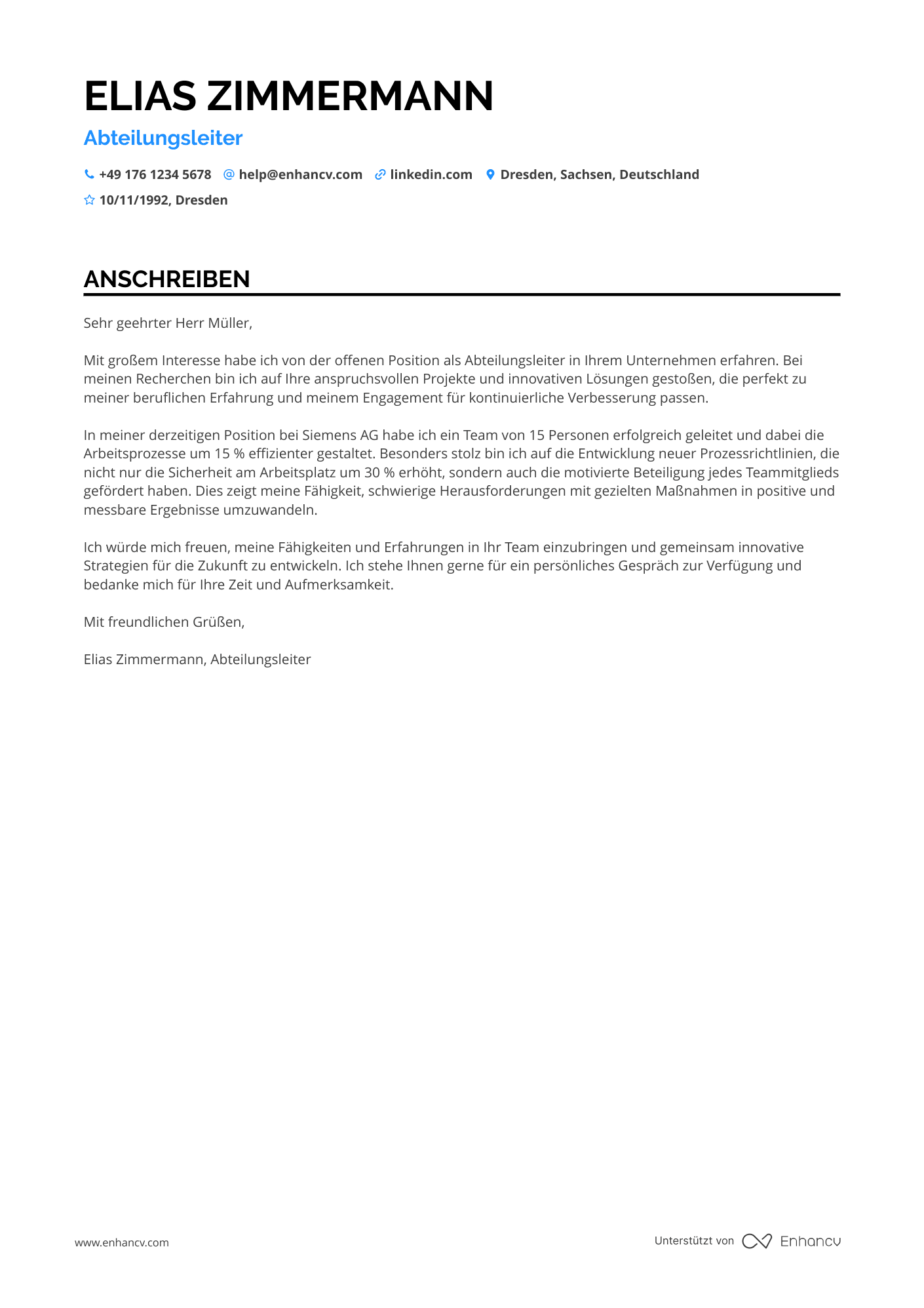 Stellvertretender Manager Lebenslauf