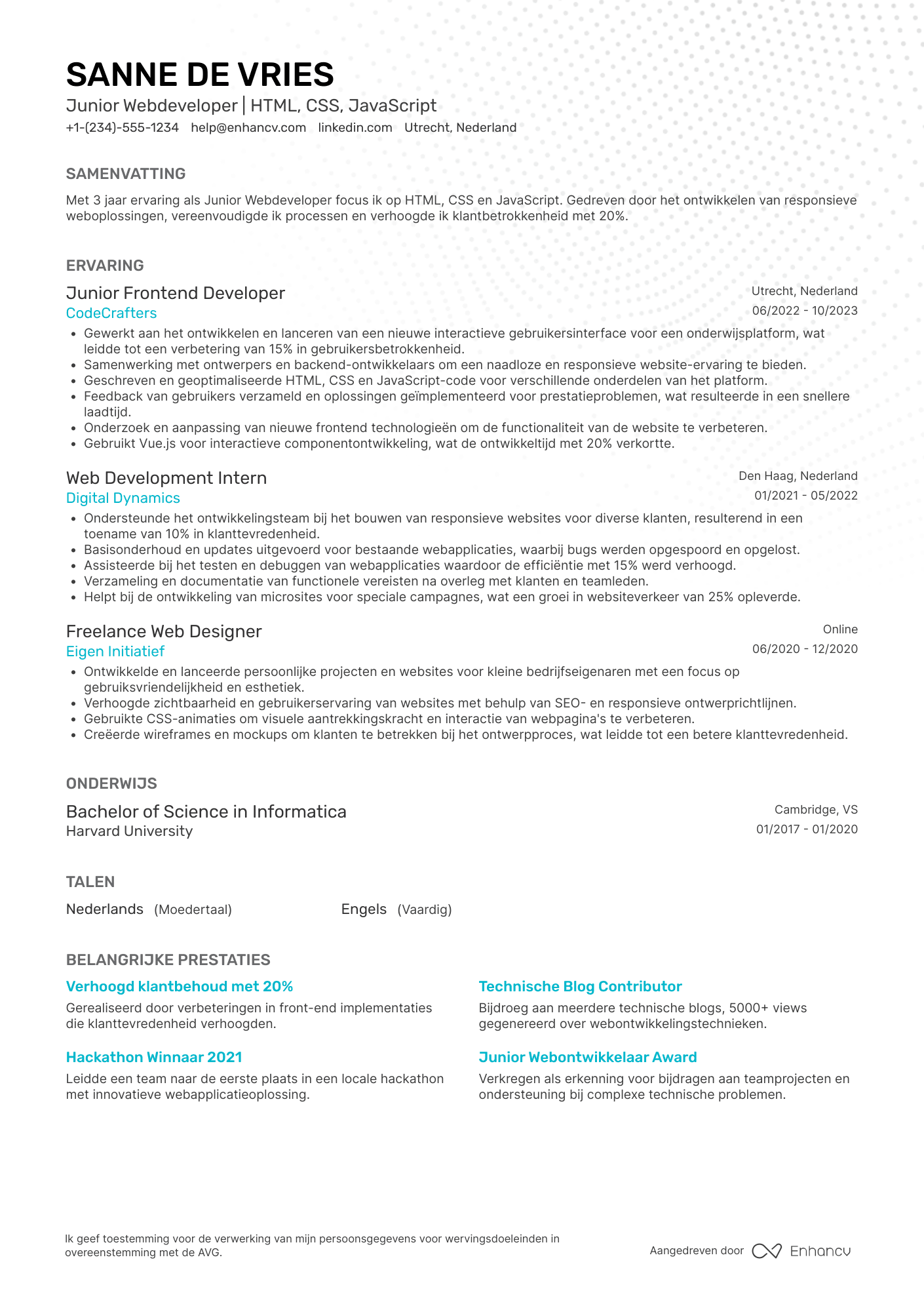CV voor Bijbaantje junior webdeveloper