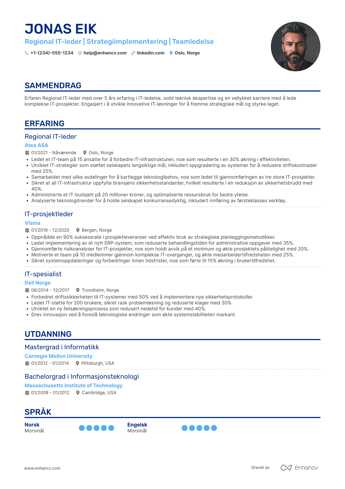 CV for Regional IT leder