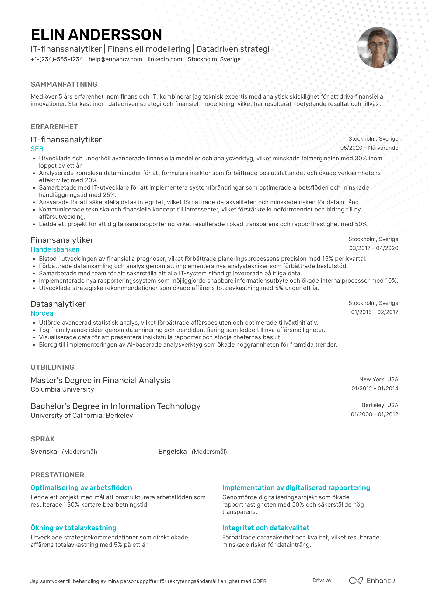 CV för IT finansanalytiker