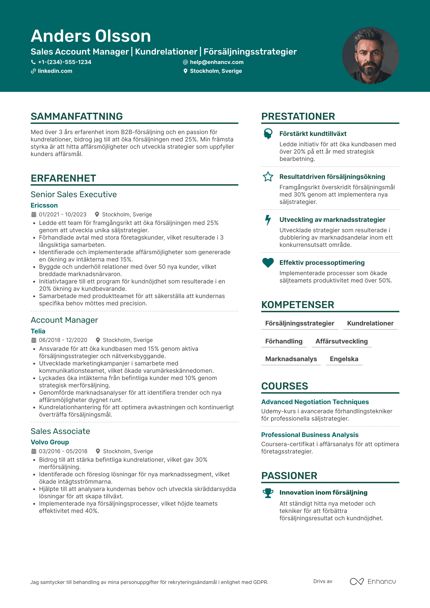 CV för Sales Account Manager