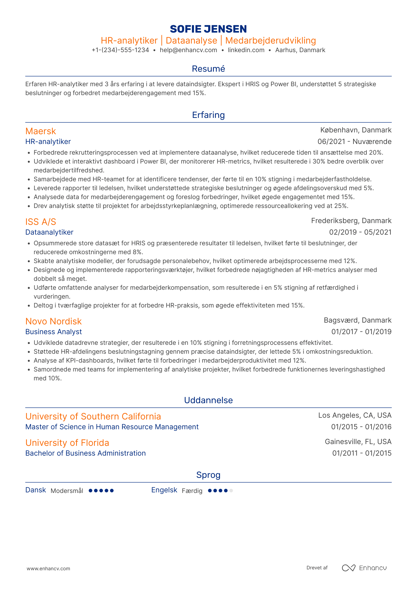 CV til HR analytiker