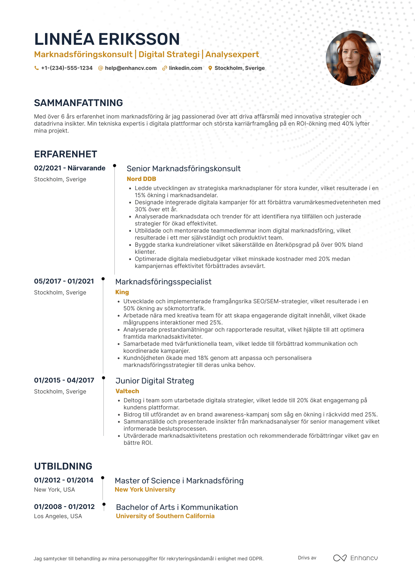 CV för Marknadsföringskonsult