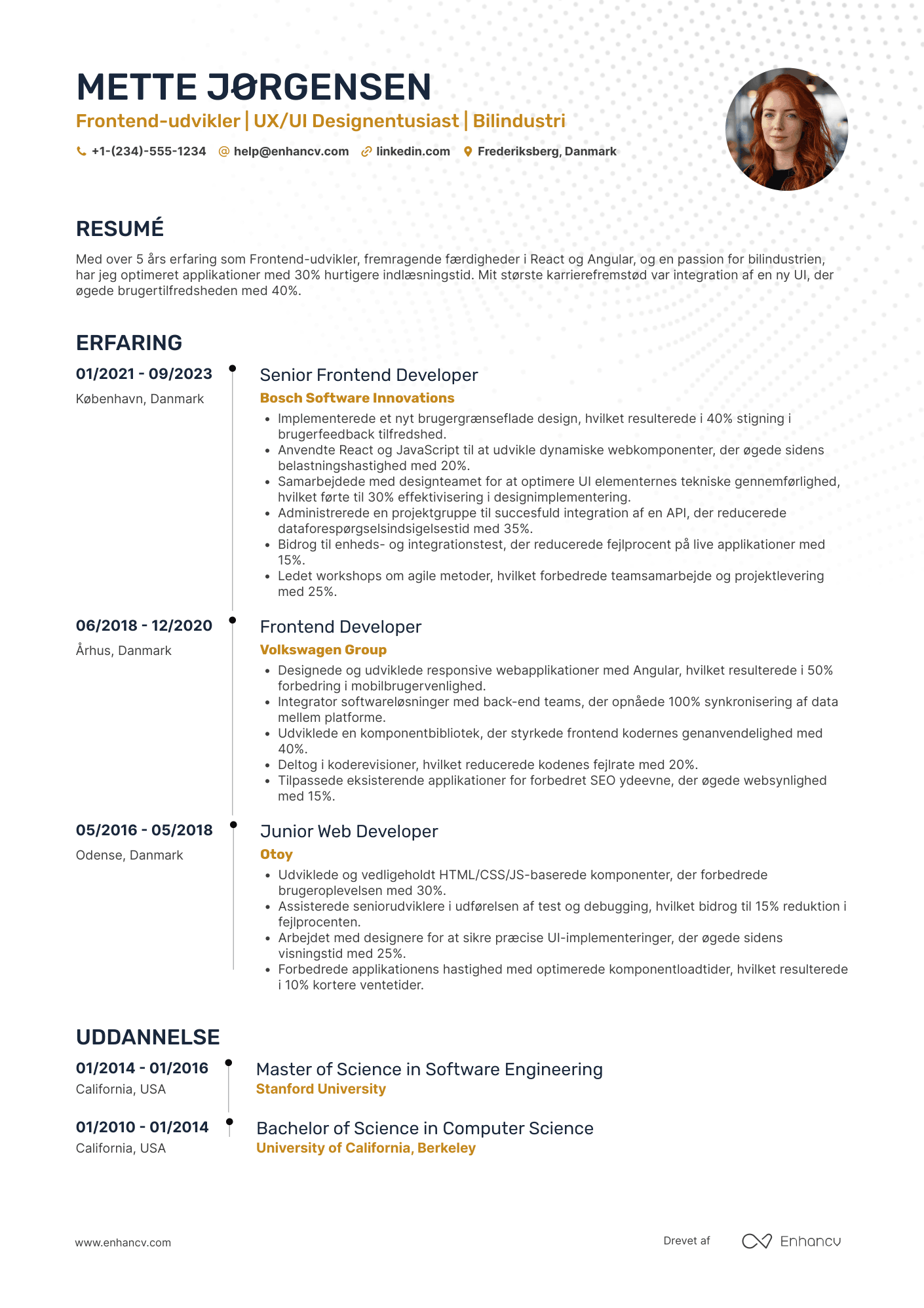 CV til Frontend udvikler i bilindustrien