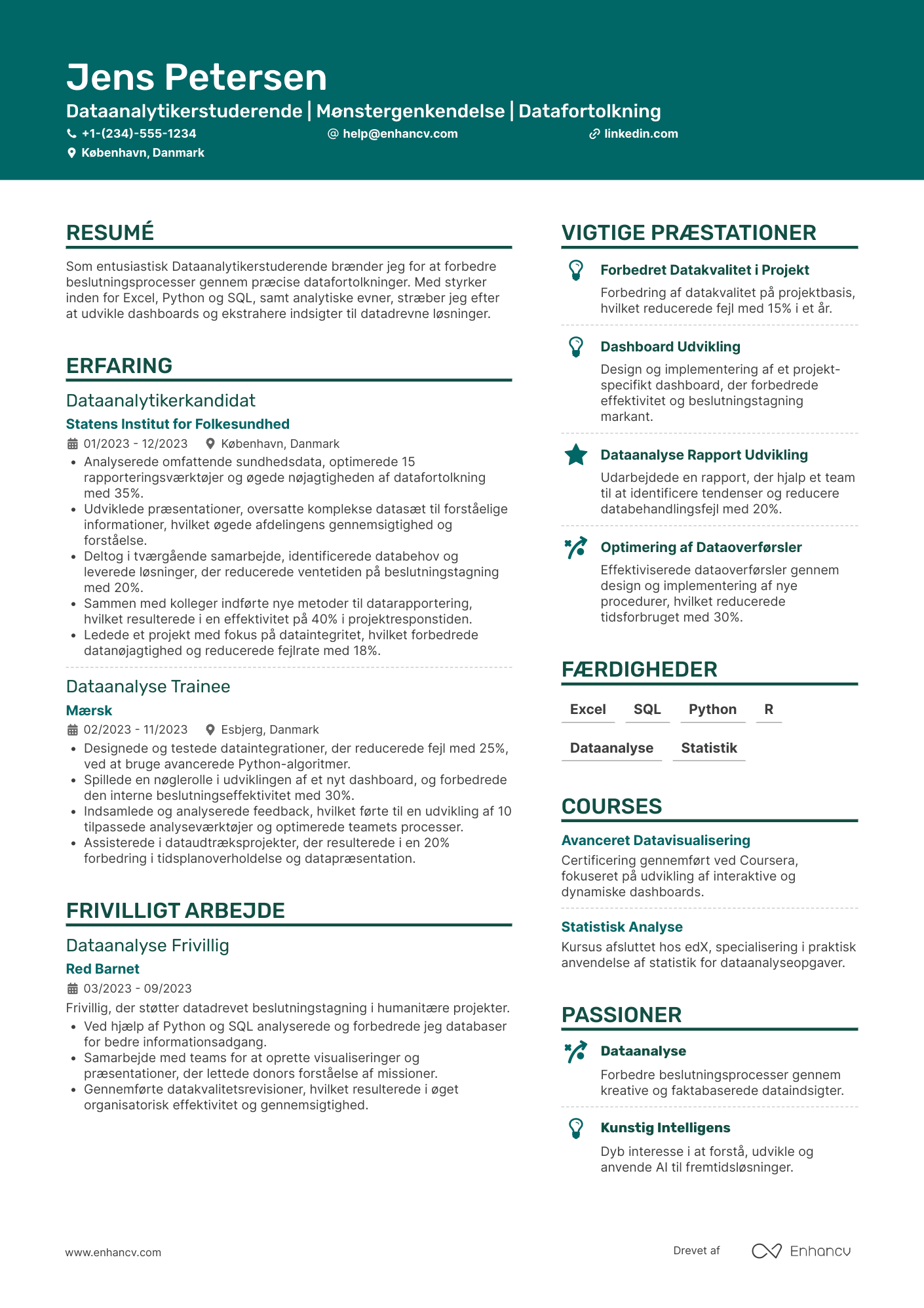 CV til Studerende Dataanalytiker
