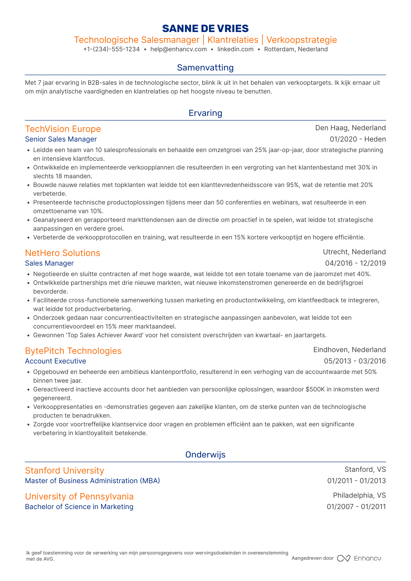 CV voor Technologische Salesmanager