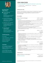 CV 3