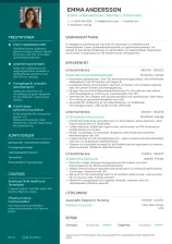 CV 3