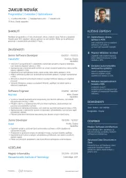 CV 2