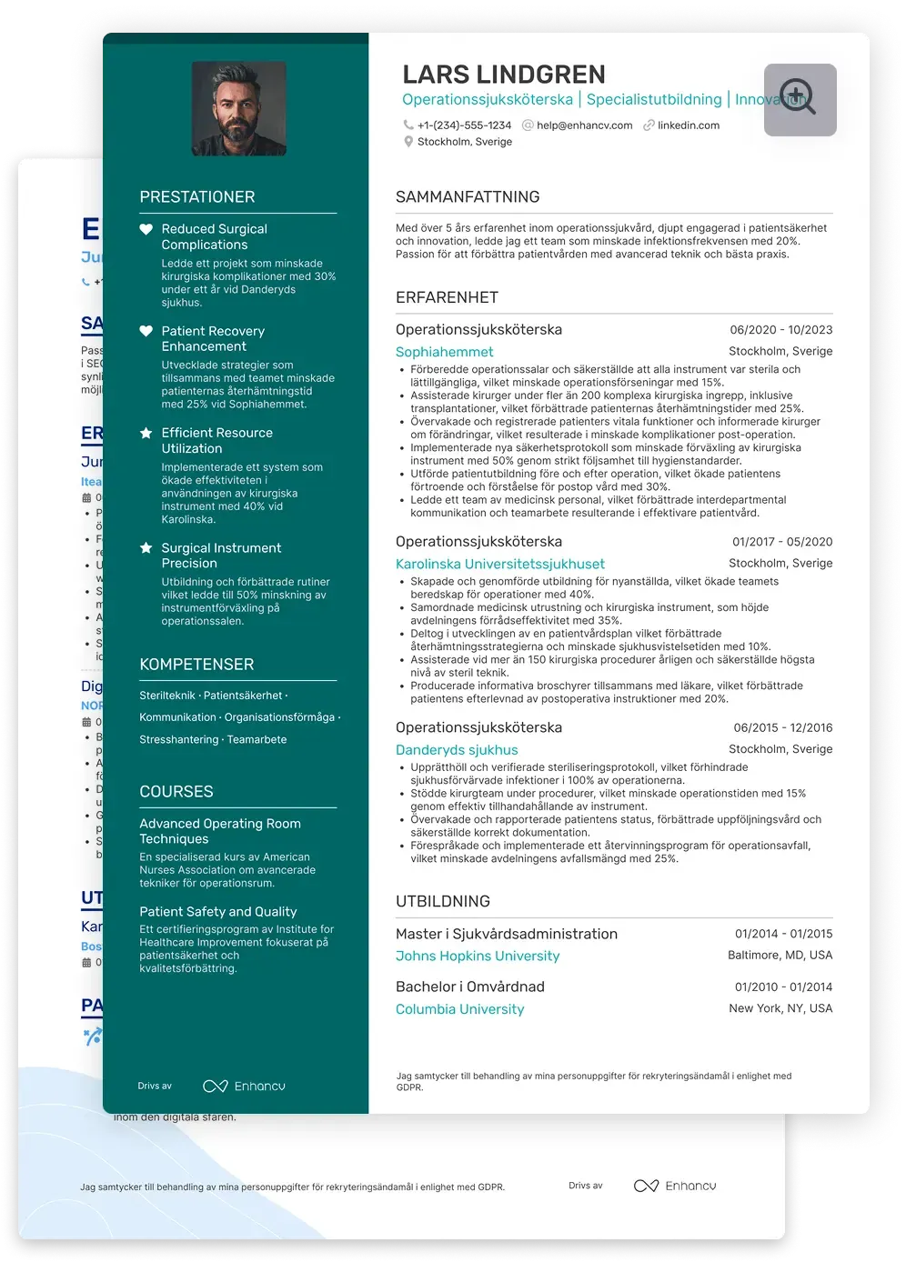 CV exempel