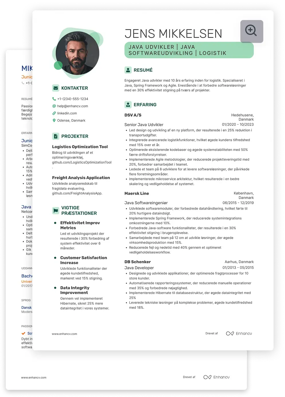 CV eksempel