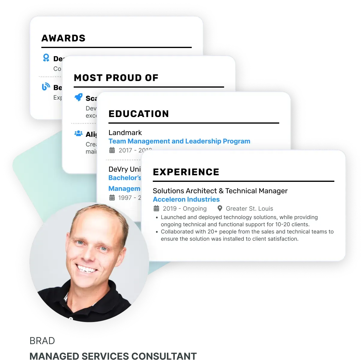 20+ Professionally designed cv sections