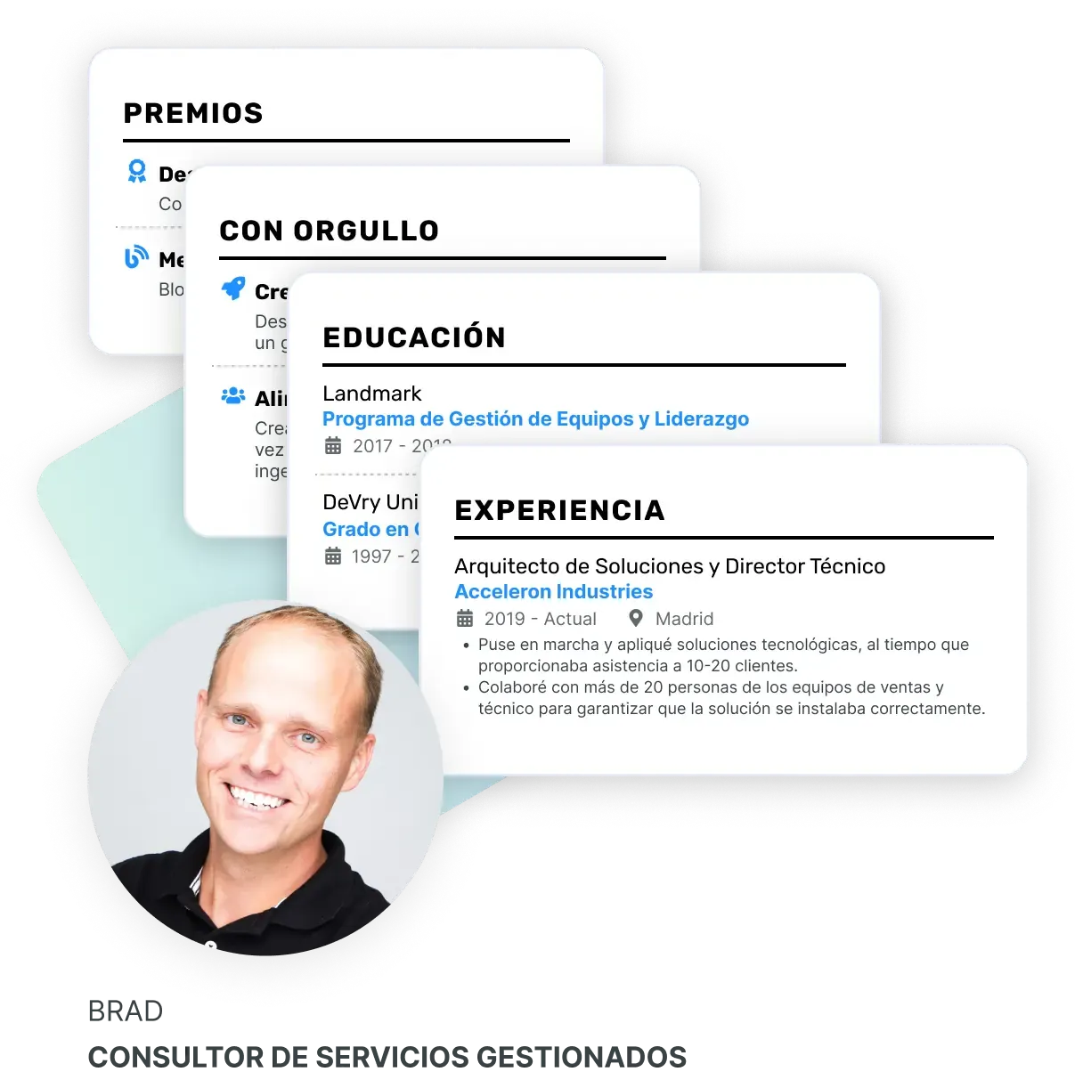 Más de 20 secciones de CV diseñadas profesionalmente