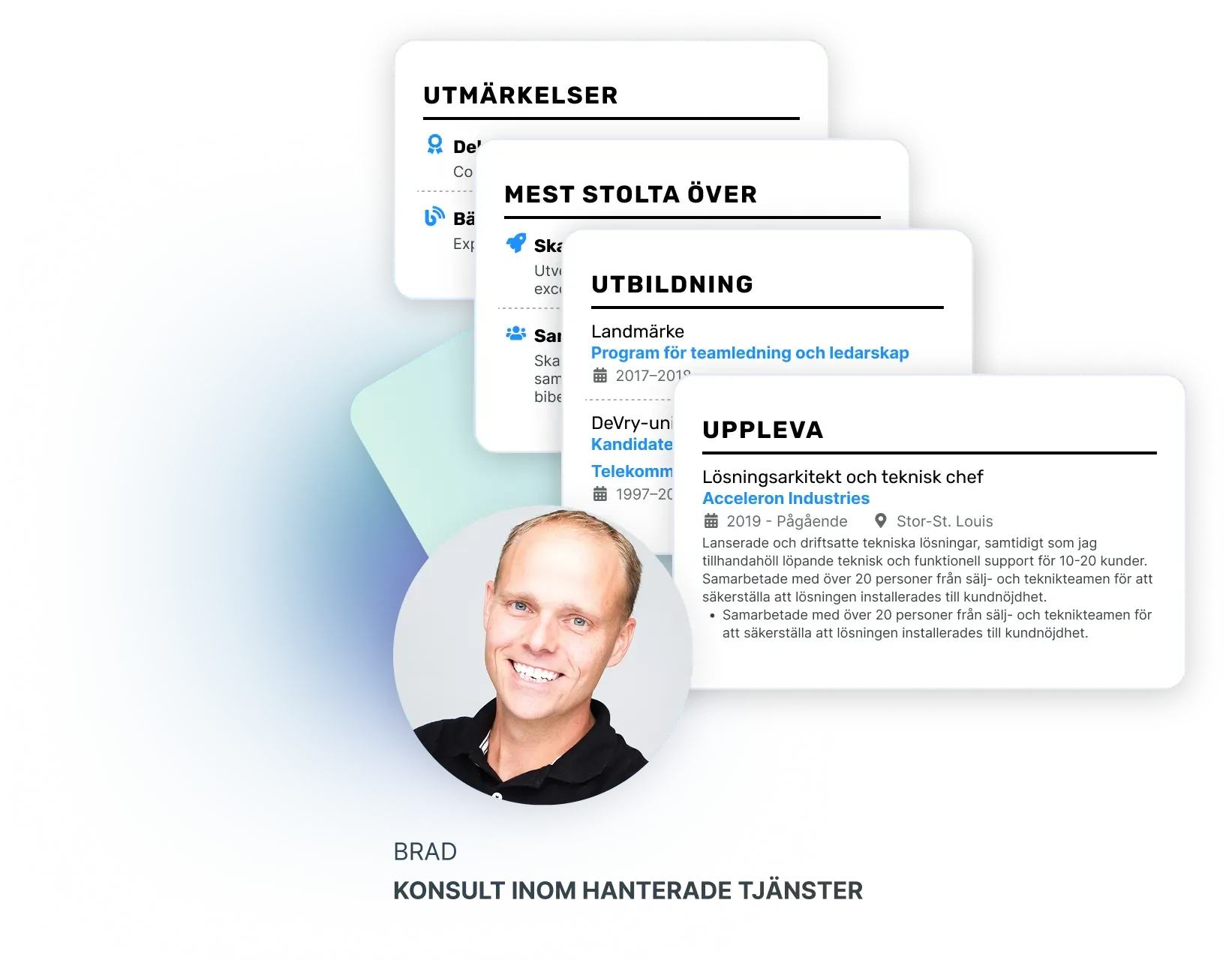 20+ Professionellt utformade CV avsnitt