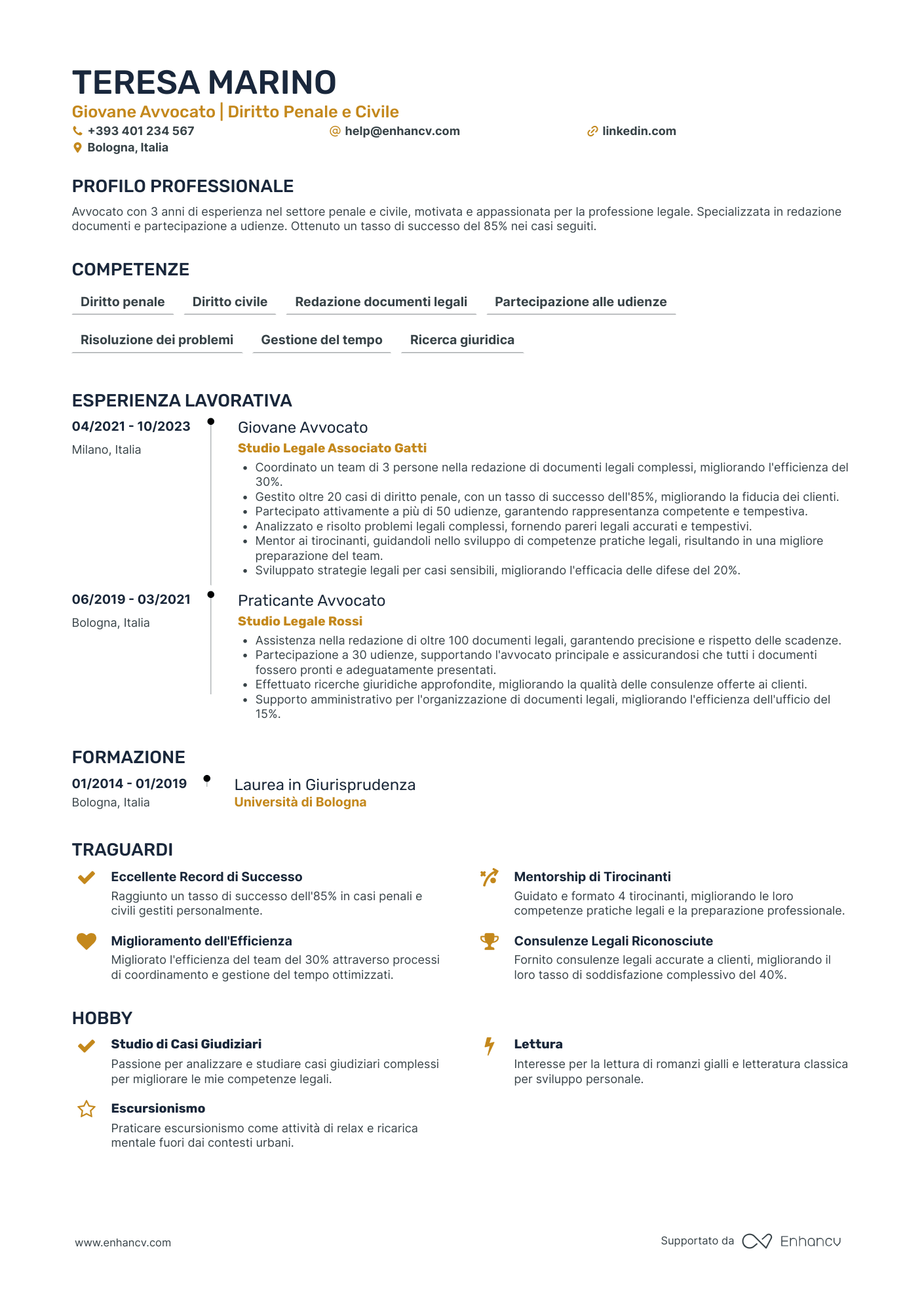 Giovane Avvocato | Diritto Penale e Civile resume example