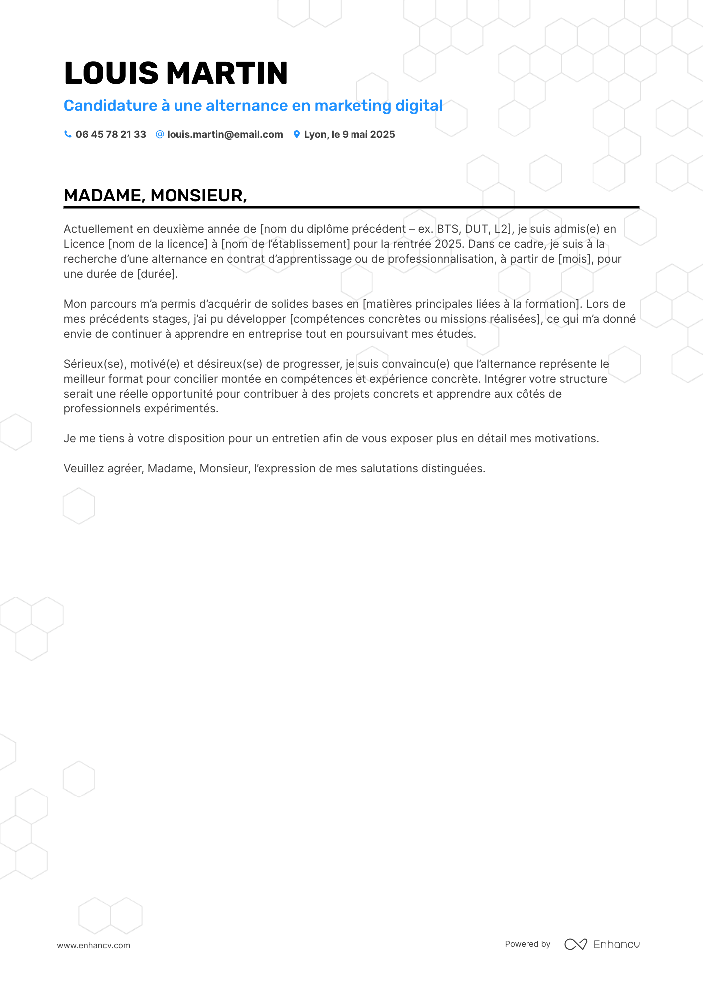 Candidature à une alternance en marketing digital resume example