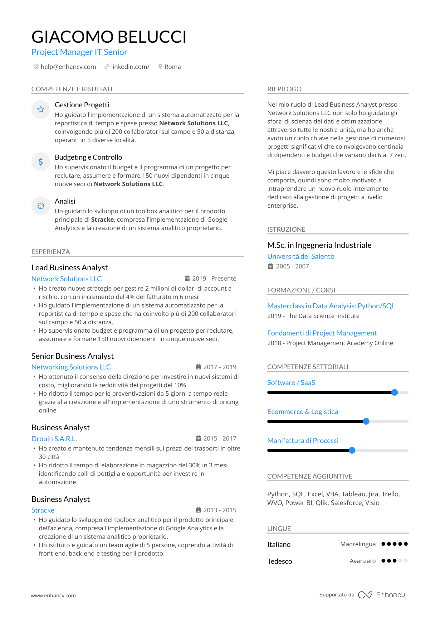 Project Manager IT Senior resume example