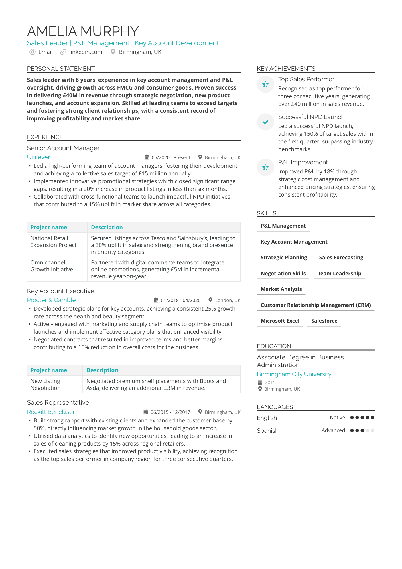 Sales Leader | P&amp;L Management | Key Account Development CV Example