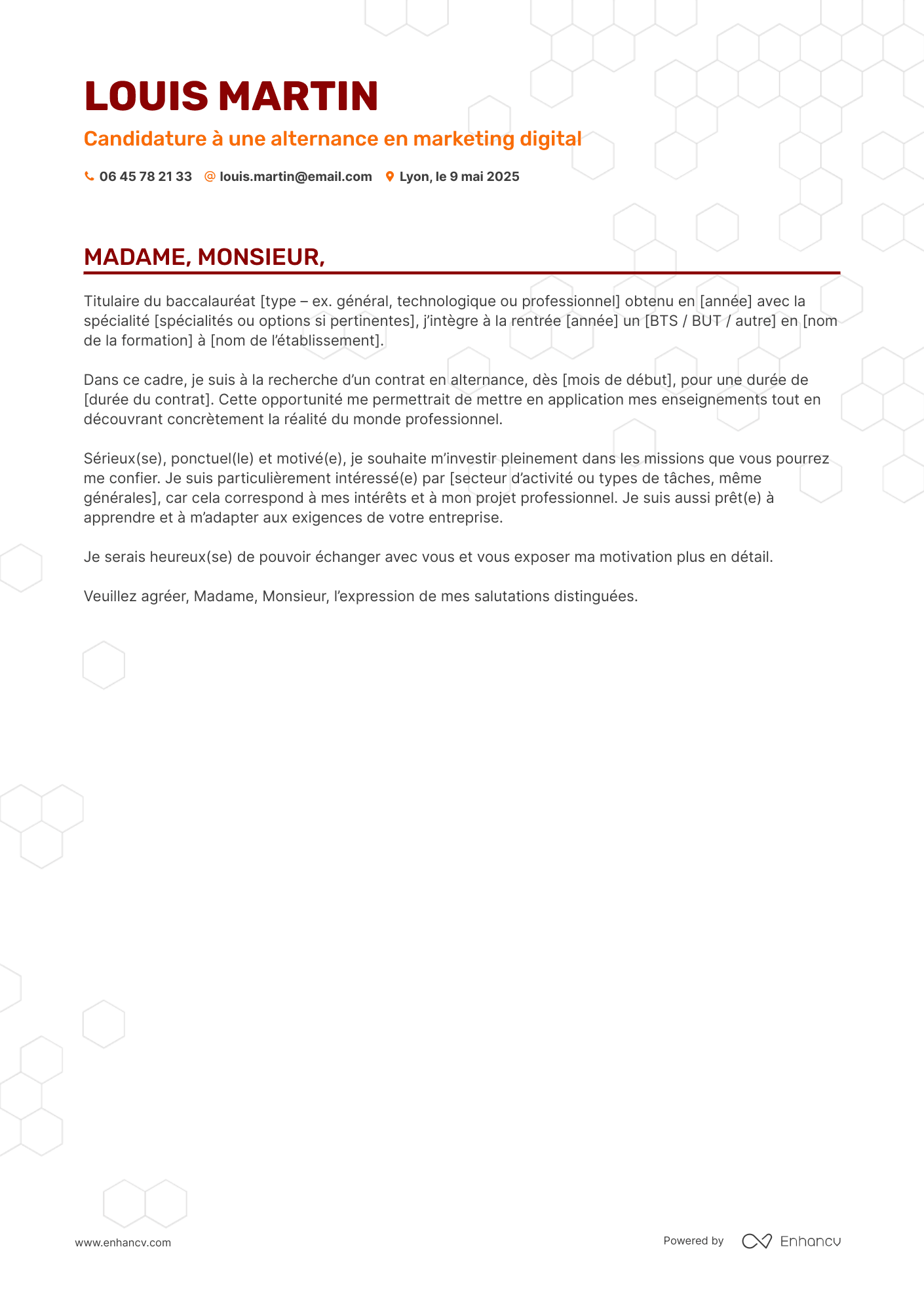 Candidature à une alternance en marketing digital resume example