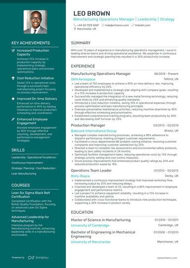 Risk Manager CV Examples & Guide for 2026