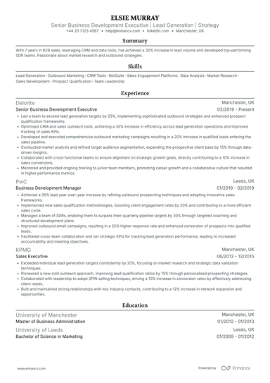 Business Development Executive CV Examples & Guide for 2026