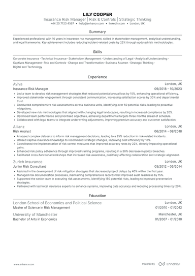 Risk Manager CV Examples & Guide for 2026
