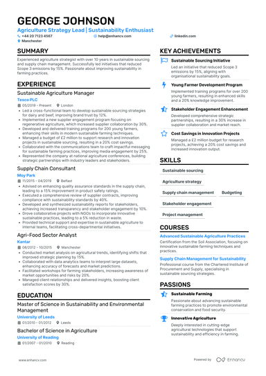 IT Project Manager CV Examples & Guide for 2026