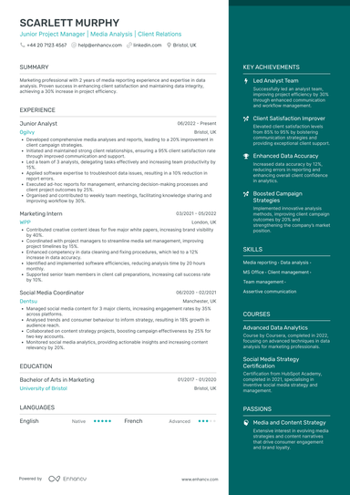 IT Project Manager CV Examples & Guide for 2026