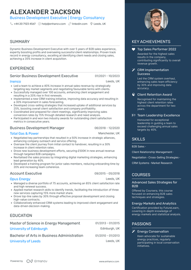 Business Development Executive CV Examples & Guide for 2026