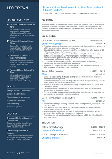 Business Development Executive CV Examples & Guide for 2026