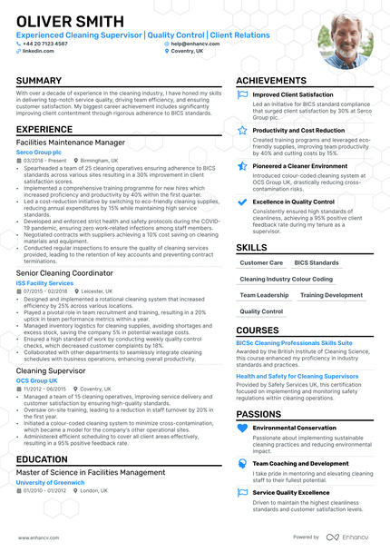 Cleaner cv example
