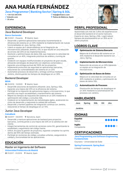 Programador resume example