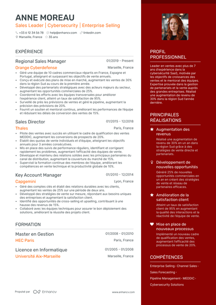 Directeur Commercial Régional resume example