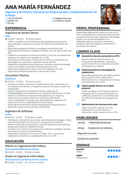 Ingeniero de Ventas resume example