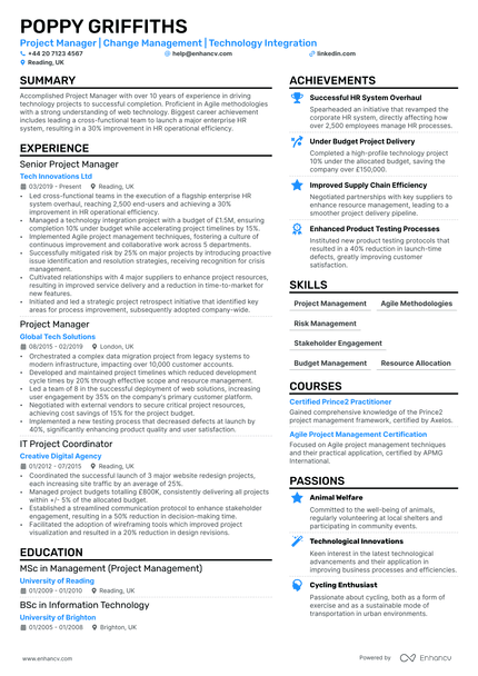 Project Manager cv example
