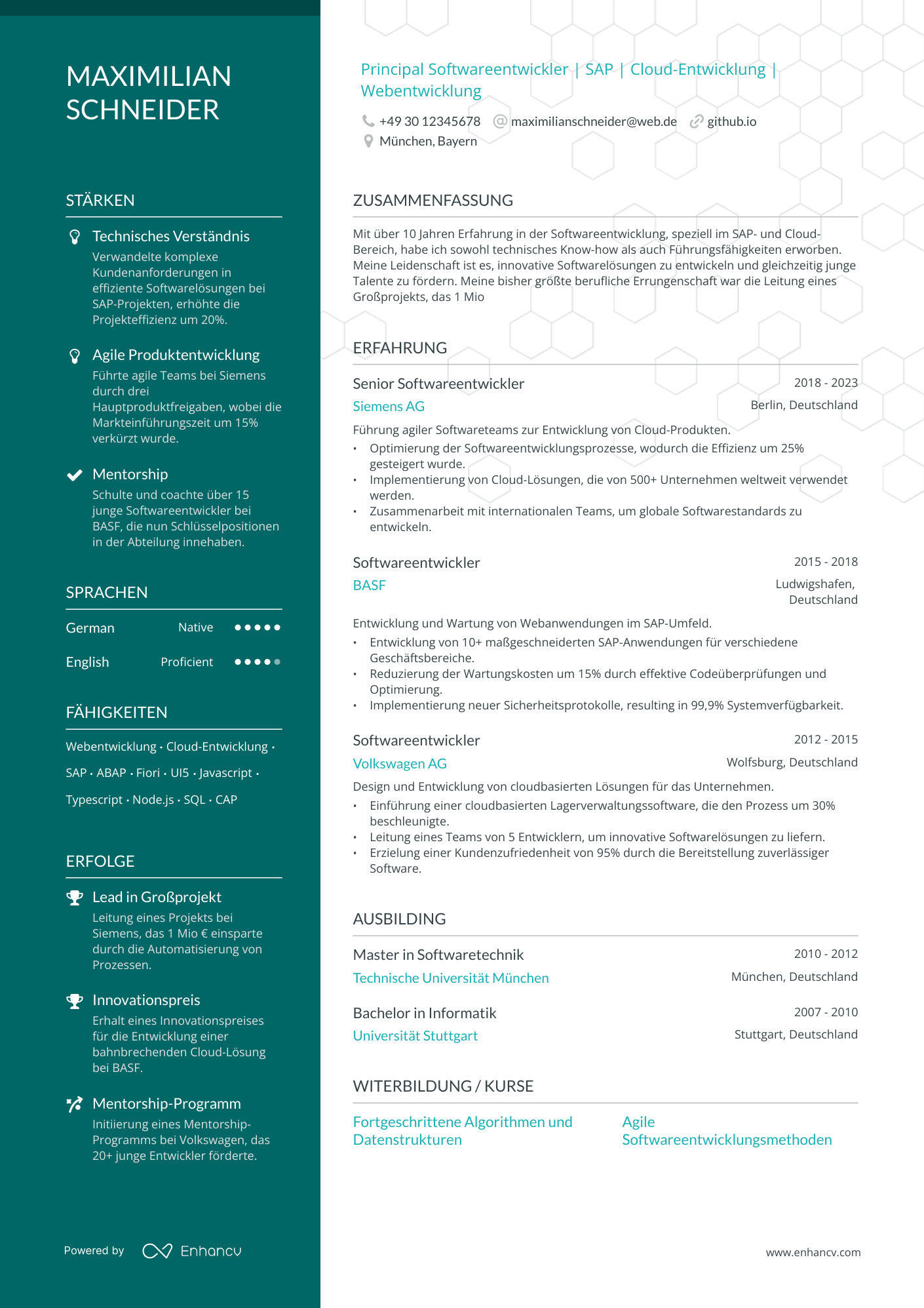 Softwareentwickler resume example