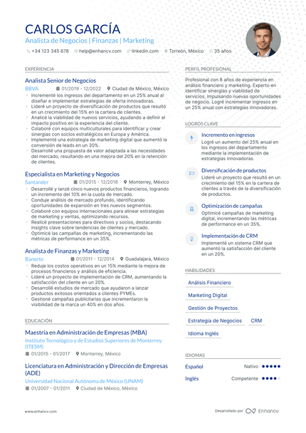 Ejecutivo de Marketing Digital resume example