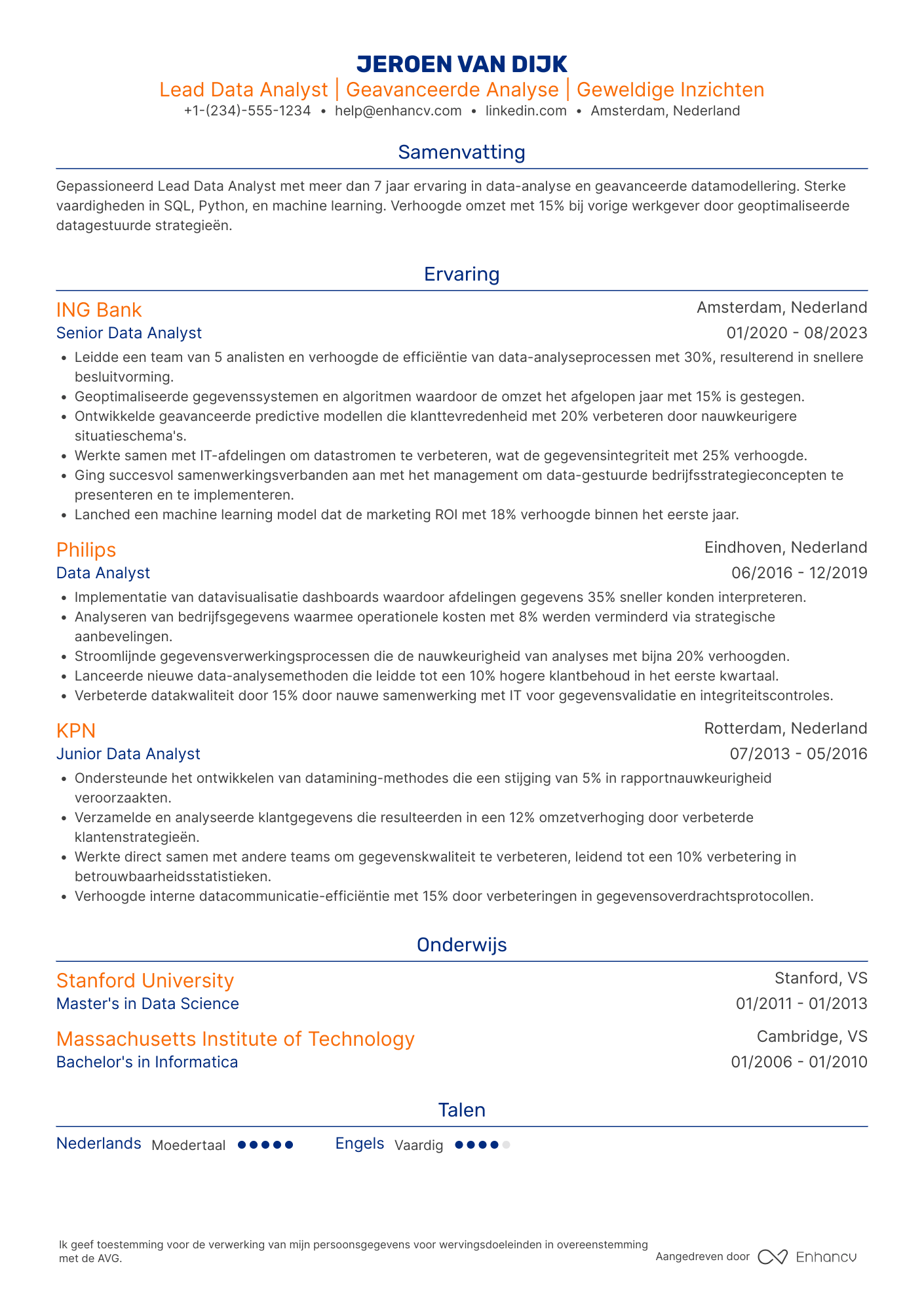CV voor Lead Data Analyst Resume Example