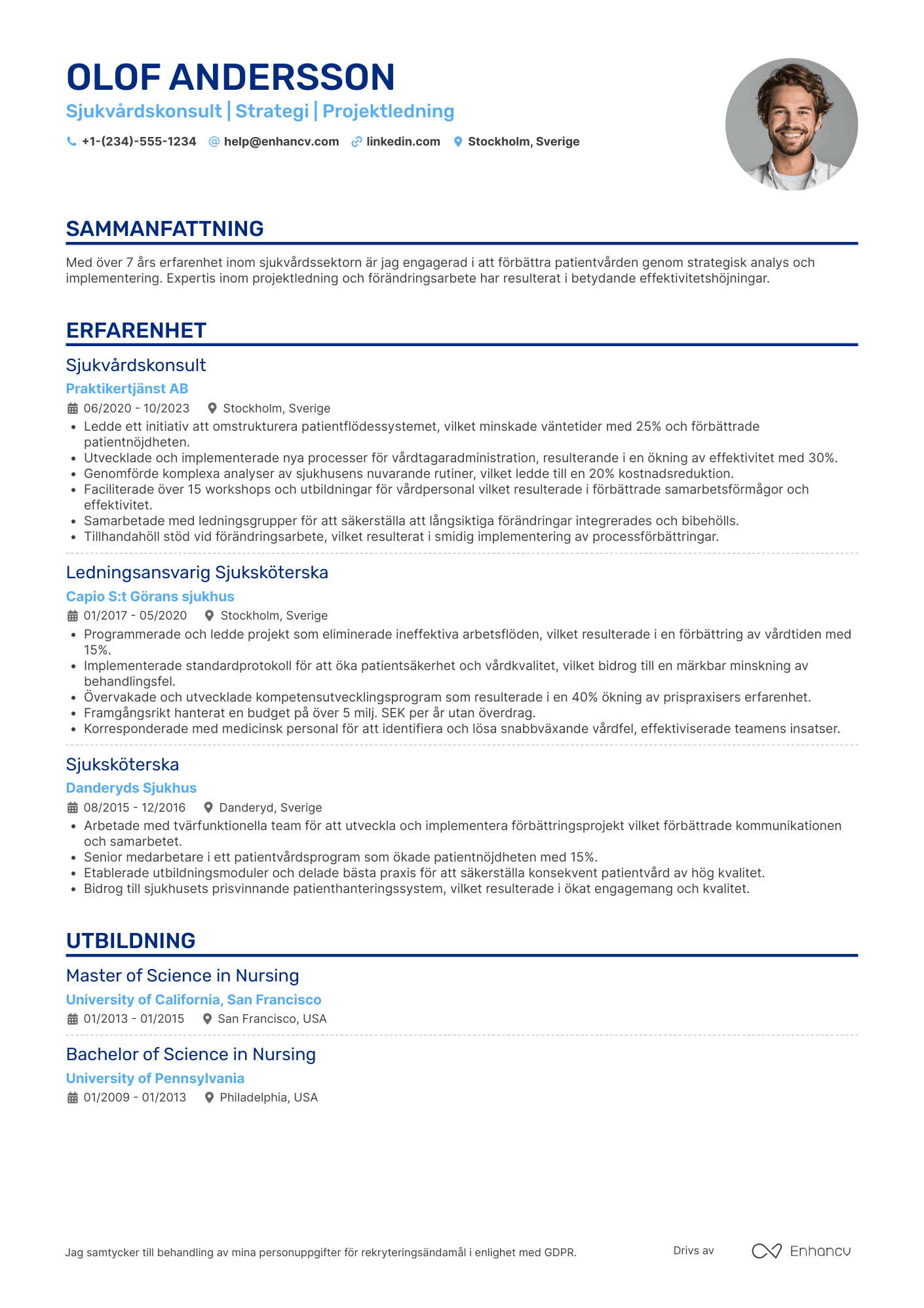 CV för Sjukvårdskonsult Resume Example