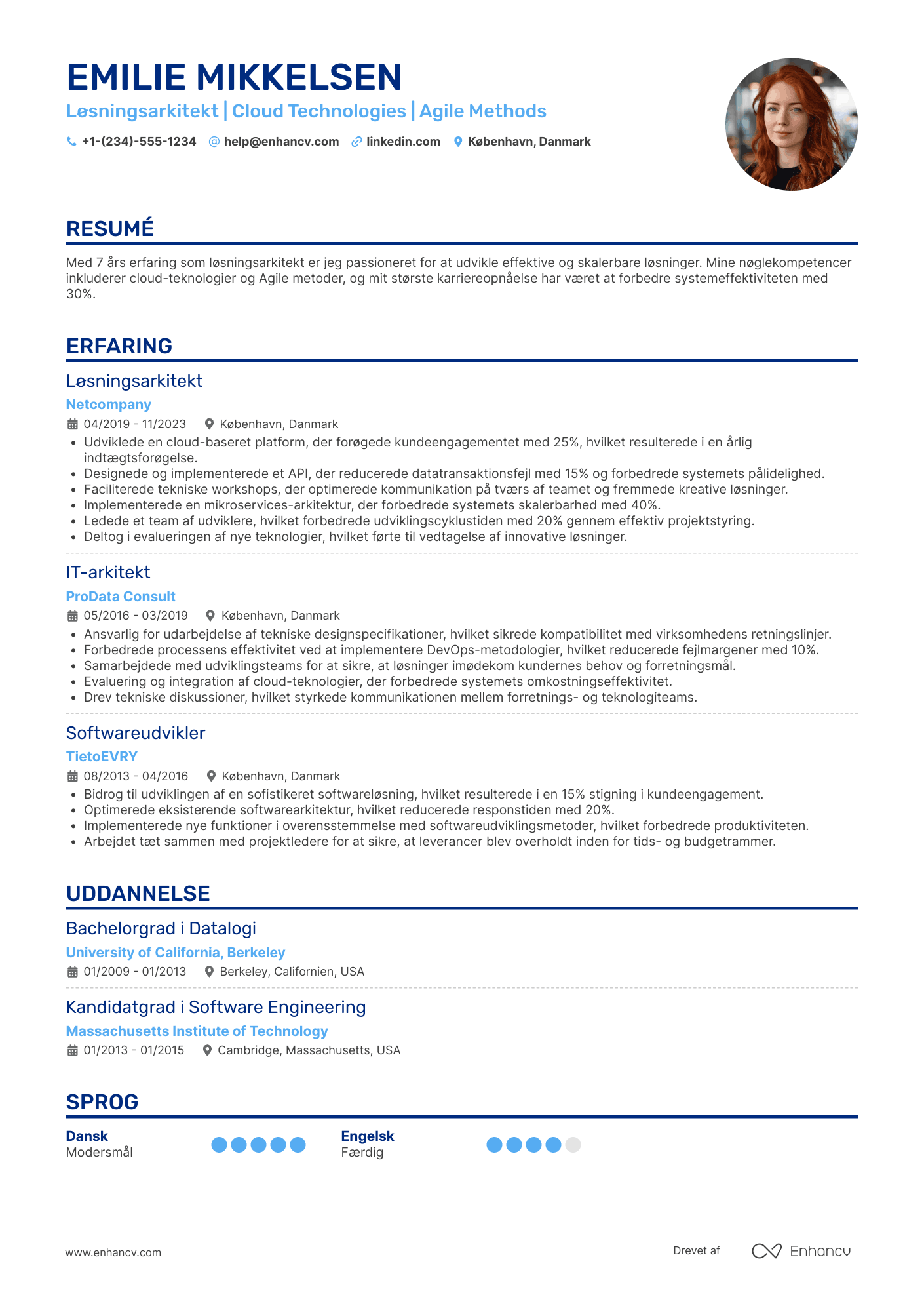 CV til Løsningsarkitekt Resume Example