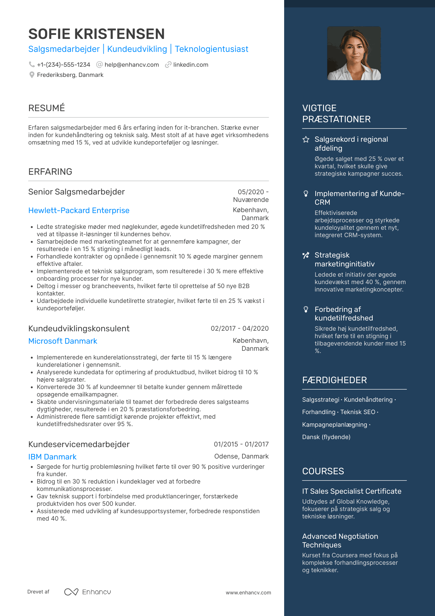 CV til Salgsmedarbejder i it branchen Resume Example