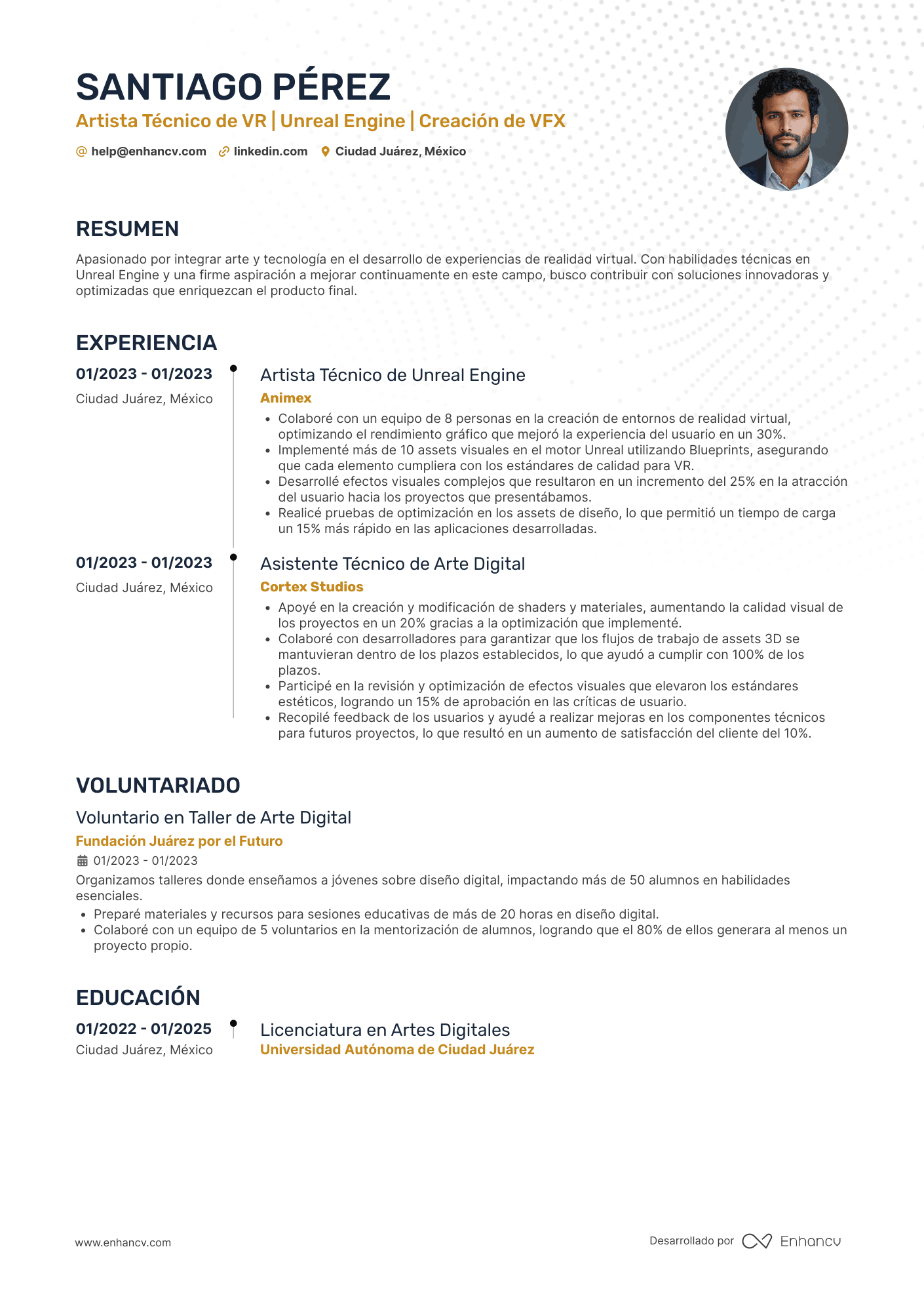 Artista visual Resume Example