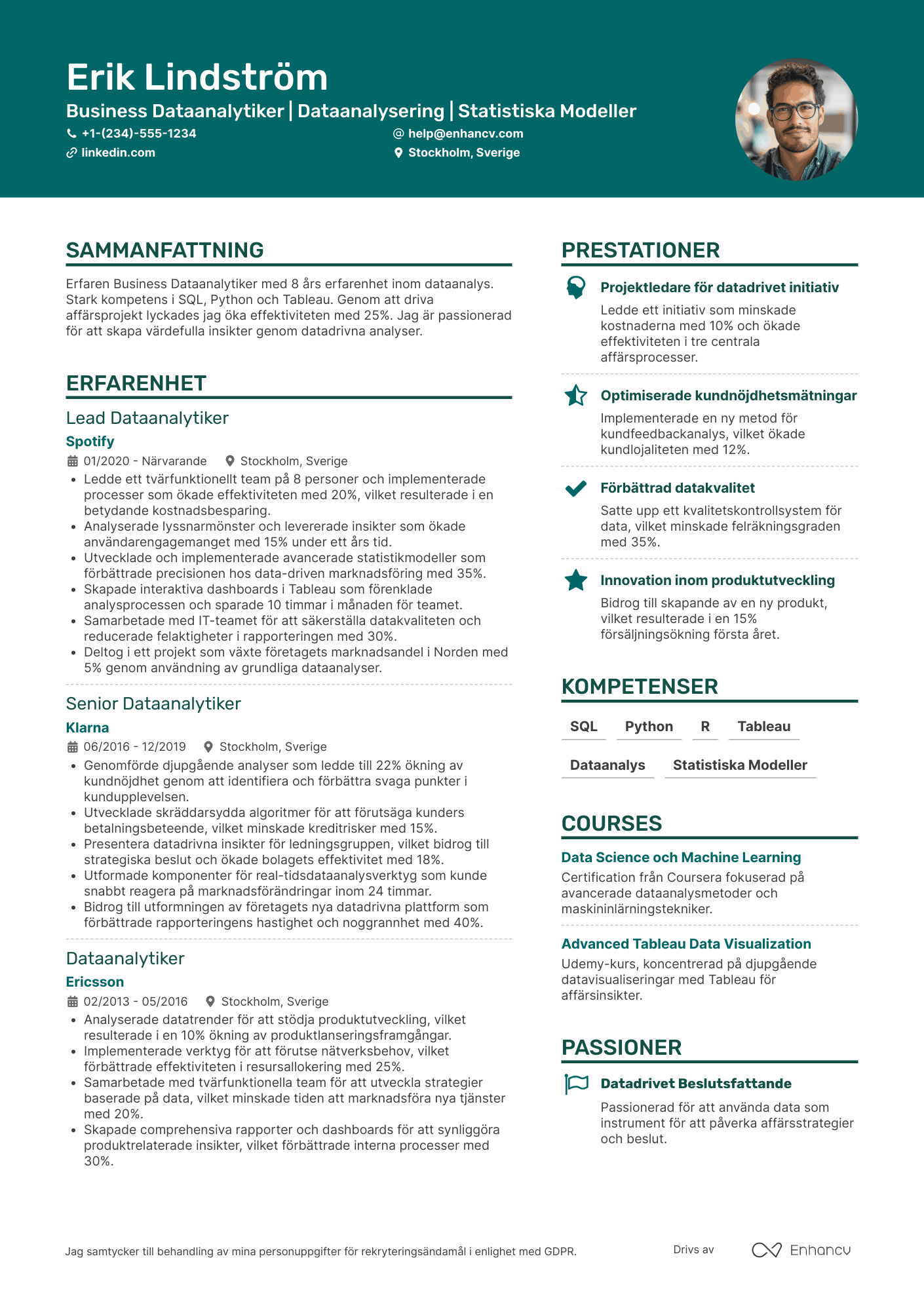 CV för Business Dataanalytiker Resume Example
