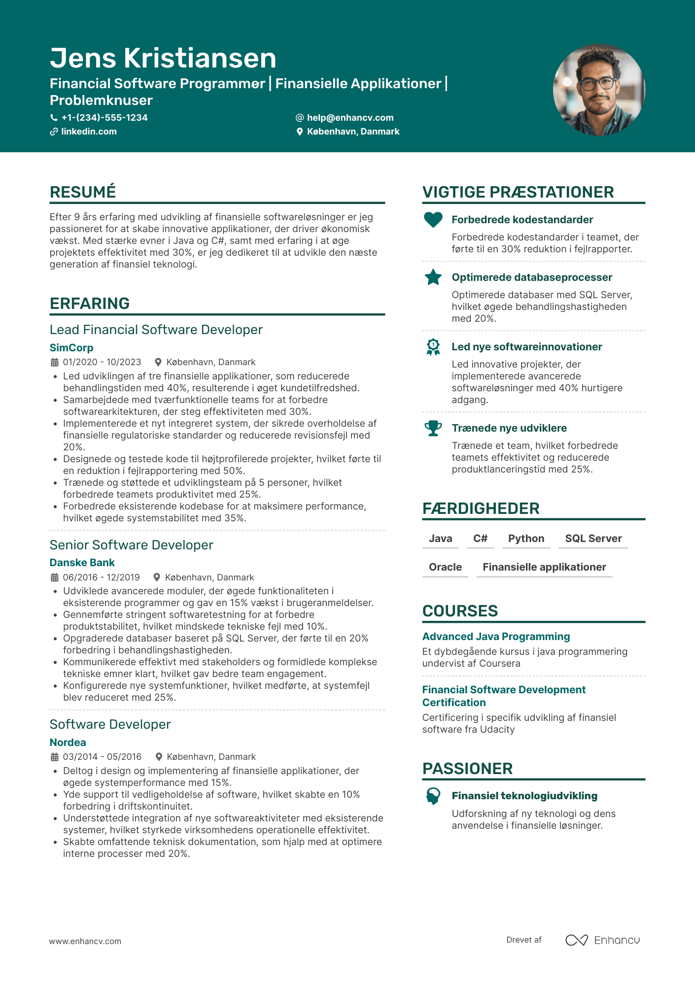 CV til Financial Software Programmør Resume Example