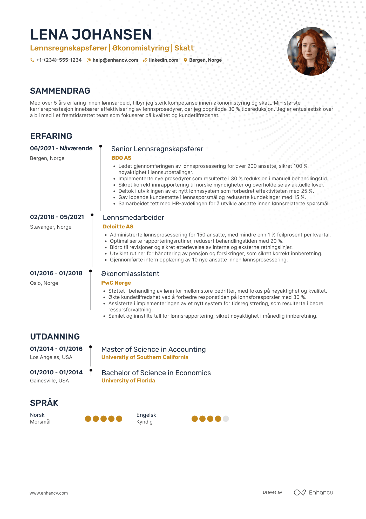 CV for Lønnsregnskapsfører Resume Example
